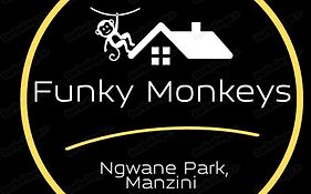 Funky Monkeys Manzini